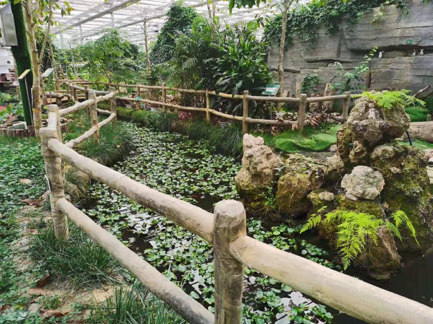 太原植物教育基地，培育绿色未来的摇篮之地