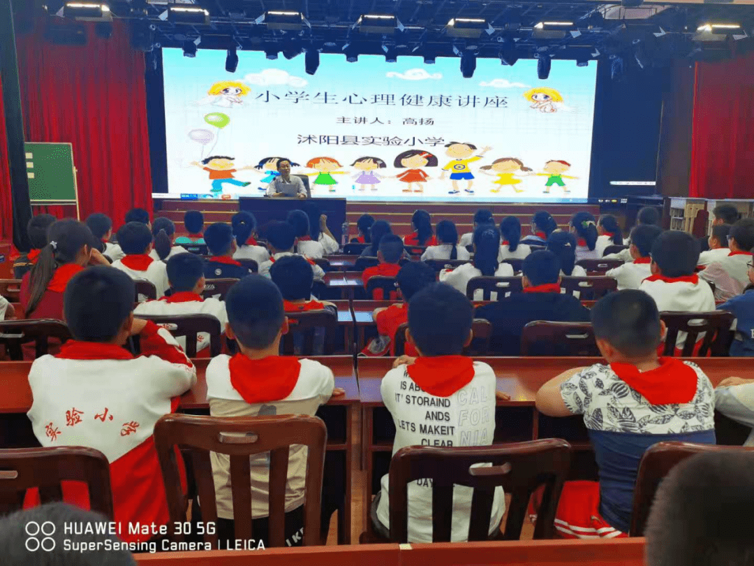 沭阳县心理教育协会，引领心理健康教育的探索与实践