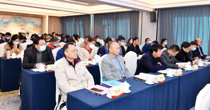 福建旅游协会教育与培训，推动旅游行业持续发展的核心力量