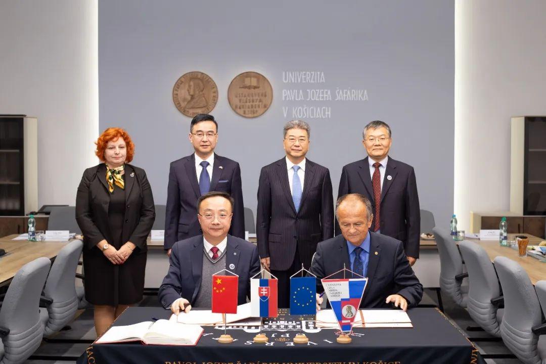 吴岩访问斯洛伐克，跨越国界的友谊与文化的交融之旅
