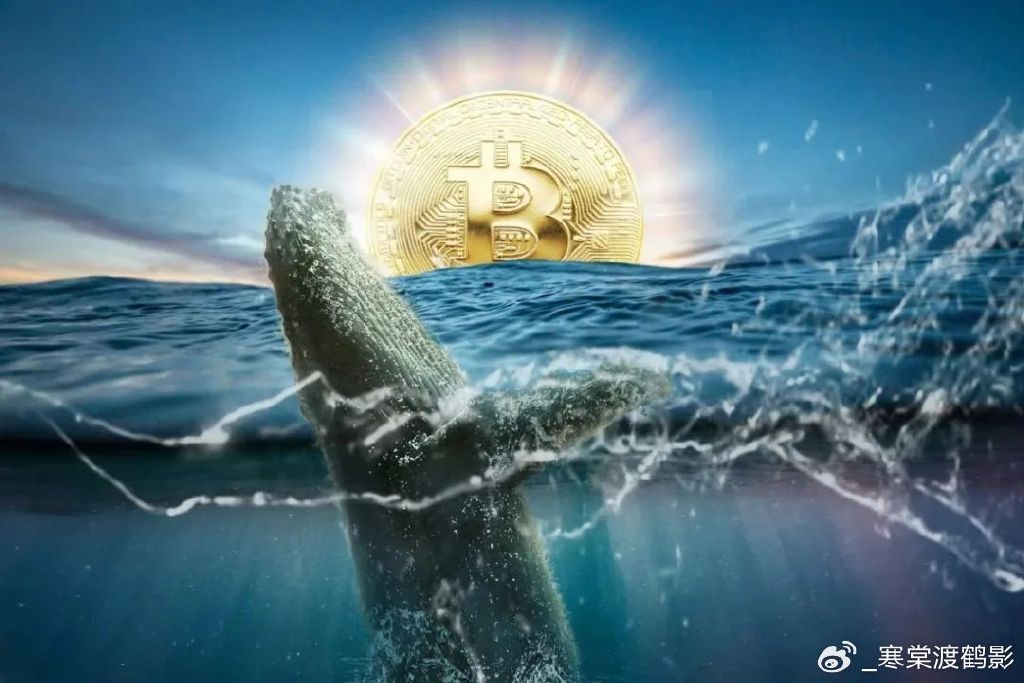 比特币巨鲸的神秘行动，十四年后转移巨额资产揭示潜在市场影响