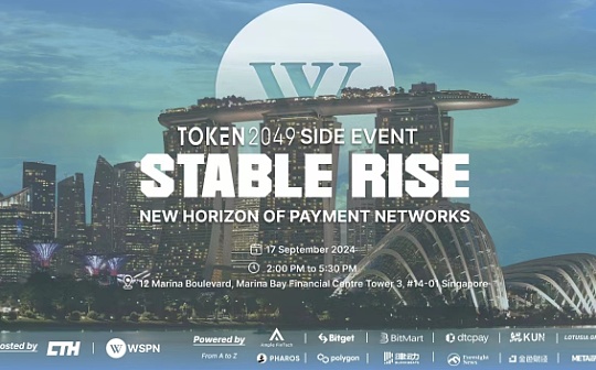 WSPN引领稳定币创新，助力越南金融科技迈向2025年巅峰之巅