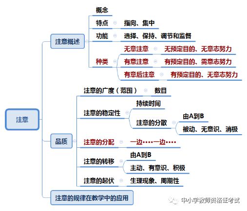 启蒙教育的重要性：培养孩子认知、思维与情感能力的全方位探索