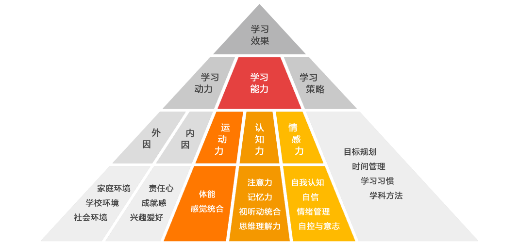 全面发展的全脑教育：培养孩子情感、社交与创造力的关键理念