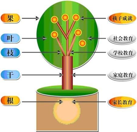 小学教育：培养孩子全面素质与能力的关键阶段与家庭支持的重要性