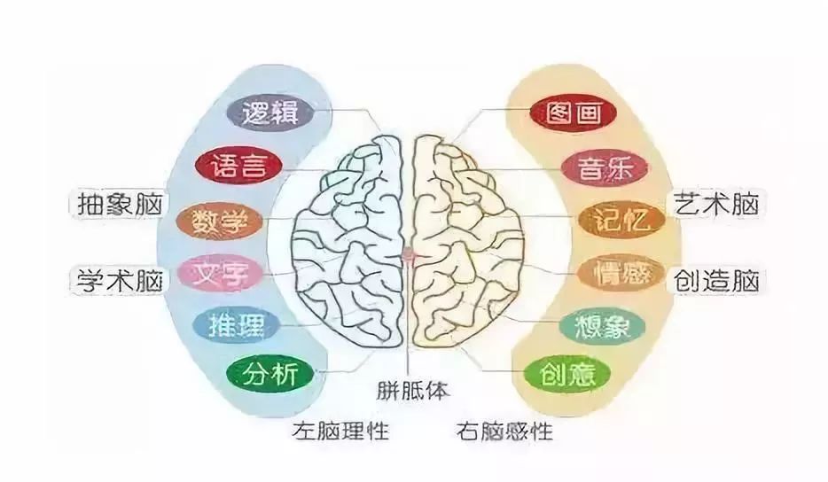 基础教育的全面构成：知识传授、品德培养与创新能力的提升