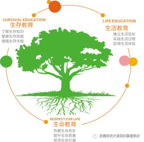 绿色教育：培养环保意识与实践能力，促进可持续发展的全面教育理念