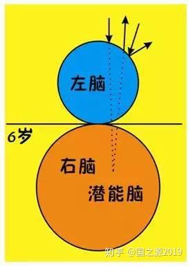 好的教育：多维度发展与全面素养的培养之路