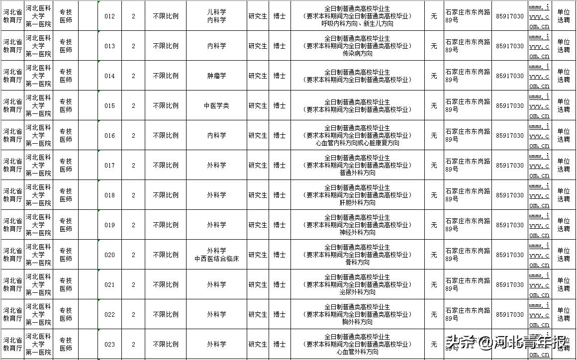 三级教育体系：培养全面人才的多层次模式与挑战分析