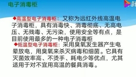 全面解读小学教育：知识传授、技能培养与品德塑造的综合发展探索