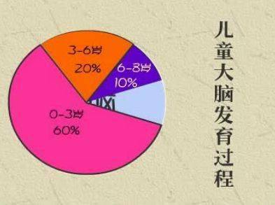 早期教育的重要性与全面发展：为孩子未来铺平道路的关键因素