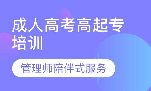 教育的多重目的：知识获取、能力培养与价值观建设的深刻探讨