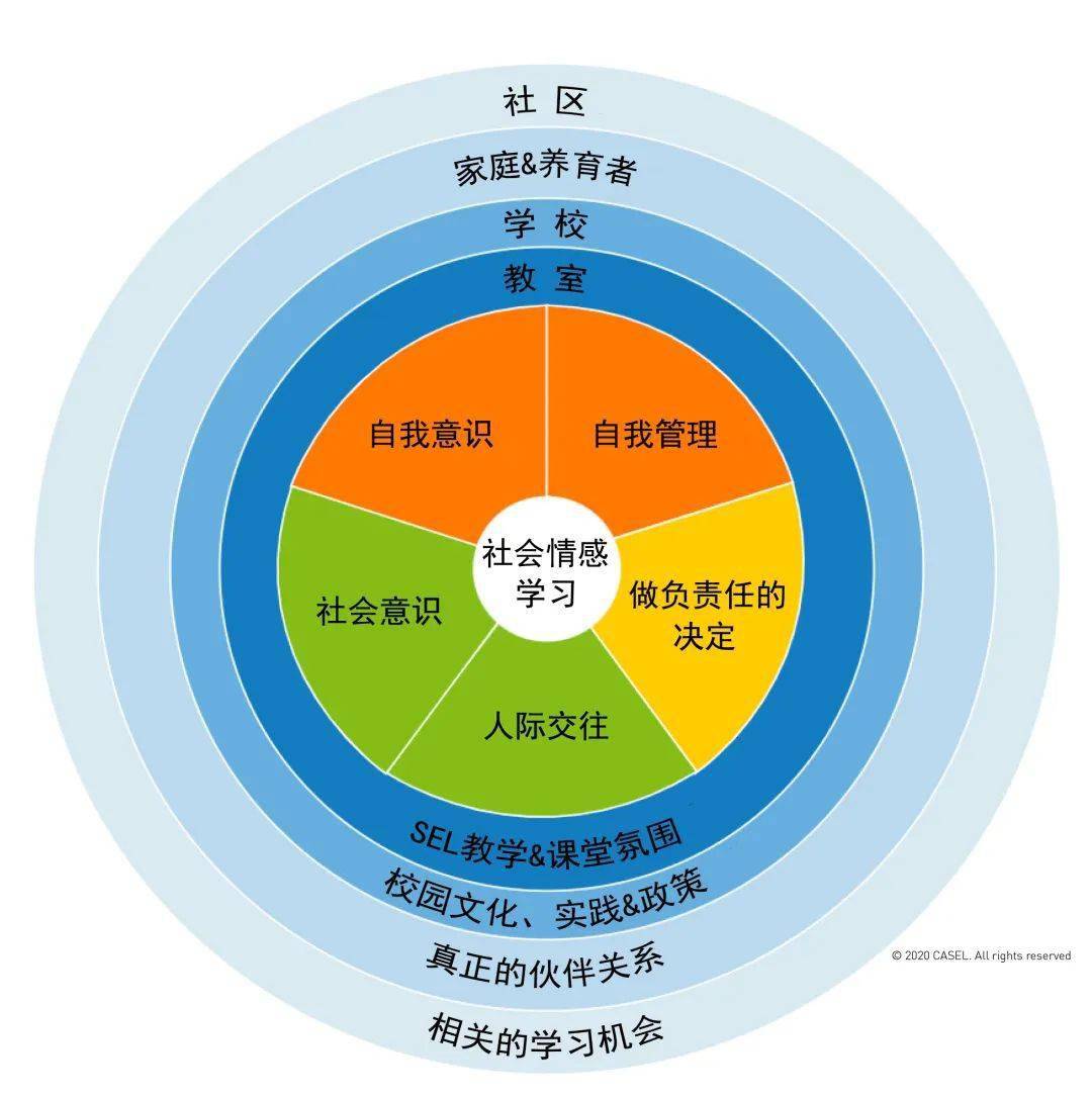 家庭教育的重要性与实践：培养孩子全面发展的关键因素