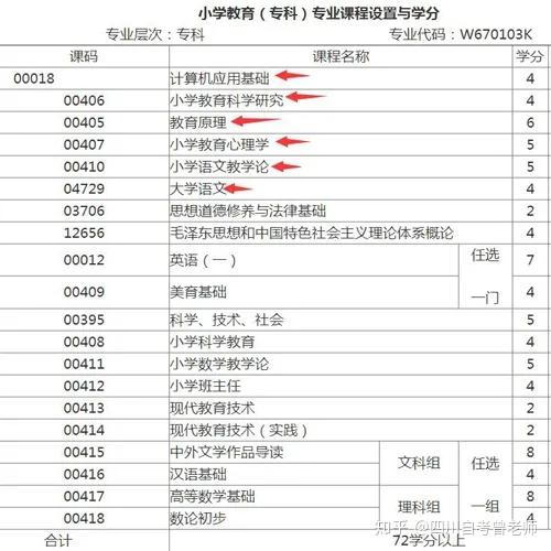 大专小学教育专业课程概述与未来教师成长路径探讨