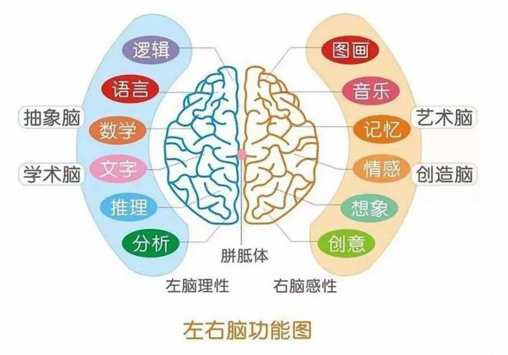 高等教育的多维意义：个人成长与社会发展的关键途径解析