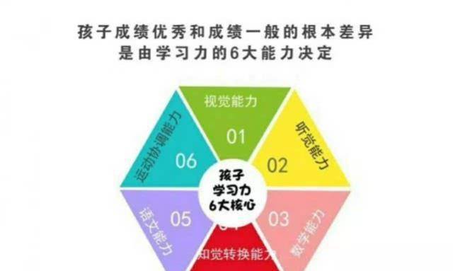 学前教育课程多样化：培养孩子认知、社交、语言和情感能力的重要性探讨