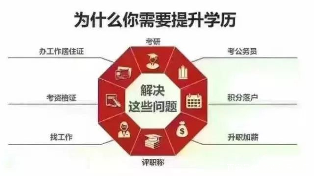 学历教育的重要性与个人发展：探索成长与职业道路的多元选择