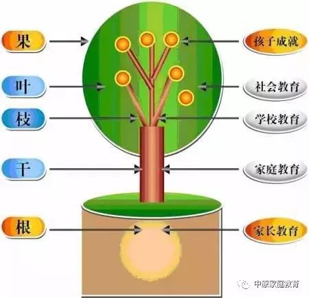 教育咨询的重要性与功能：帮助学生、家长理解教育体系与职业规划