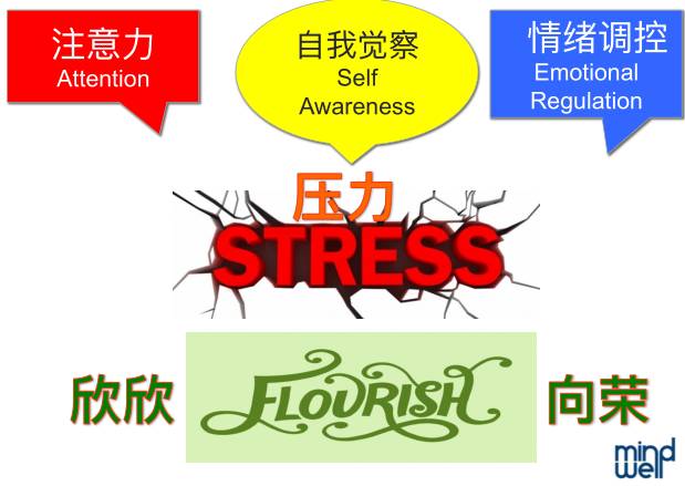 规则教育在生活中的重要性与培养个体责任感的深远影响