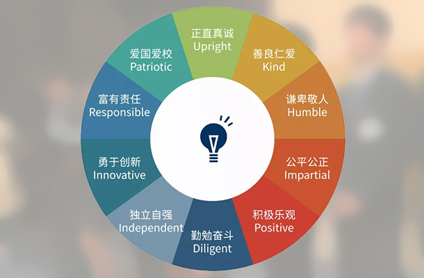 教育的本体功能：塑造人格、技能与社会责任的多重影响探讨