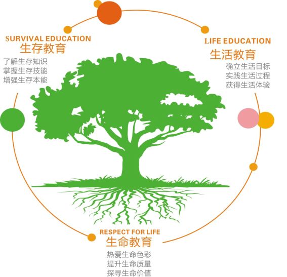 三生教育：生命、生存与生活的全面引导