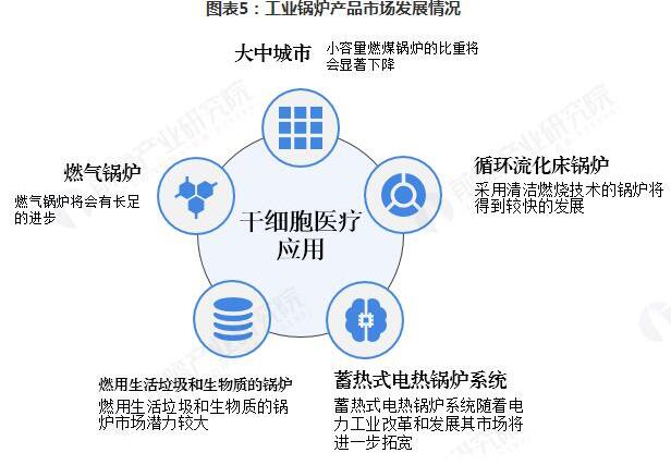 关于艺术教育的专业探讨：领域、特点与发展方向分析