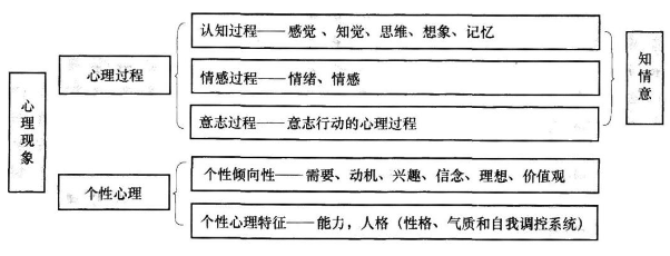 教育理论及应用考试内容与结构详解：基础理念、心理学、课程设计等全方位解读。