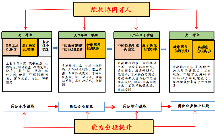 STEM教育理念：跨学科素养与创新实践能力的培养模式