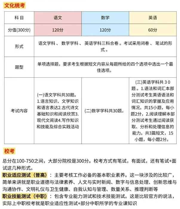 语文教育专升本考试内容与要点解析：专业知识、教育理论、语文应用及综合素质全解析