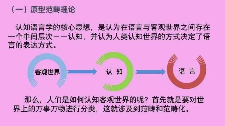 幼儿园教育的多元化任务：身体健康、语言认知、社会情感及基础技能培养