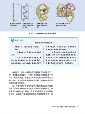 全面探讨教育的目标与内容：培养思维、情感与价值观的关键性