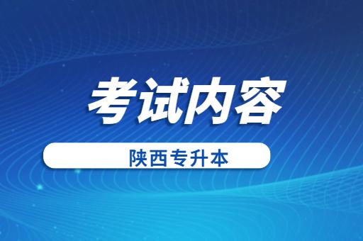 艺术教育专升本考试内容与备考建议：基础理论、专业技能、鉴赏与综合能力的培养并重