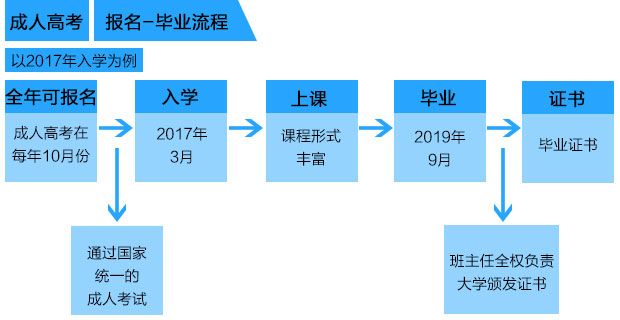 学前教育考试内容与科目详解：理论、专业知识、实践技能及综合素质面试