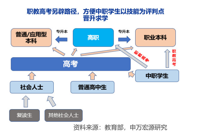 关于非学历教育的解析：定义、特点与重要性