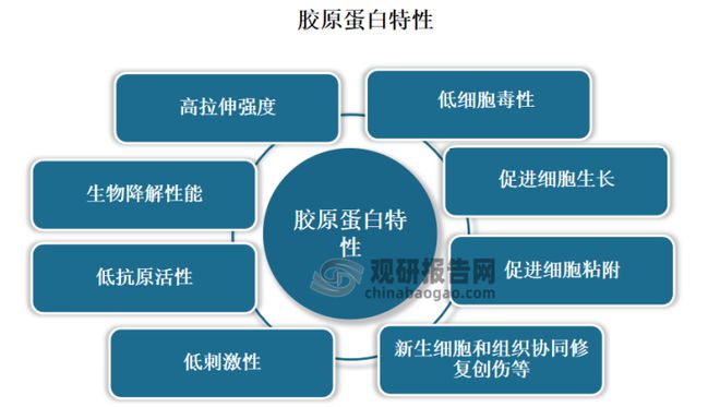 教育类专业概述：多样性与广泛的发展前景