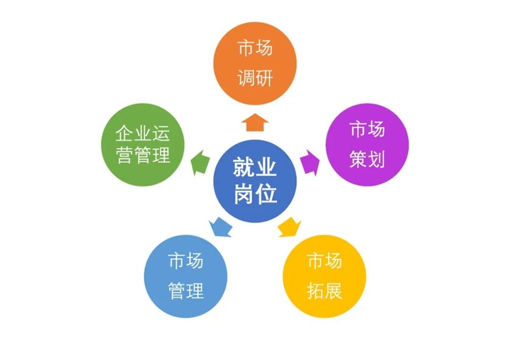 中公教育市场专员职责与工作内容详解：市场调研、品牌推广、市场拓展及客户关系维护