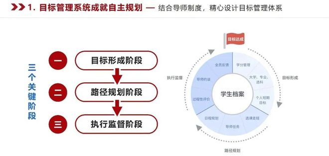 小学教育课程体系全面解析：涵盖多元领域，培育全面发展的人才