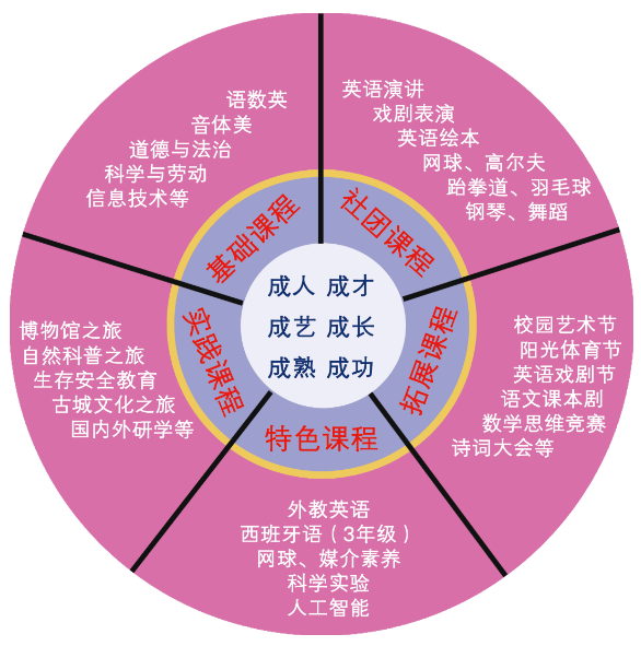 网络教育学什么好？技能提升、兴趣爱好、个人发展、专业深造四大领域全解析