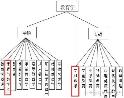 语文教育专升本的选择与方向：专业选择与课程建议