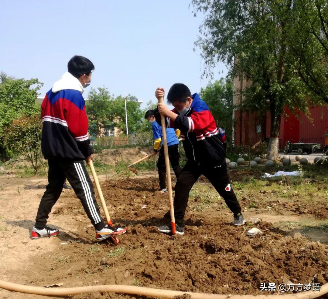 学生选择网络教育的七大原因：灵活、丰富、个性化、互动、辅助工具支持、价格亲民、紧跟时代潮流