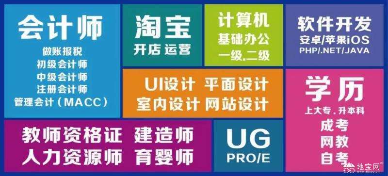 网络教育大专：职业发展的助推器与未来趋势的展望