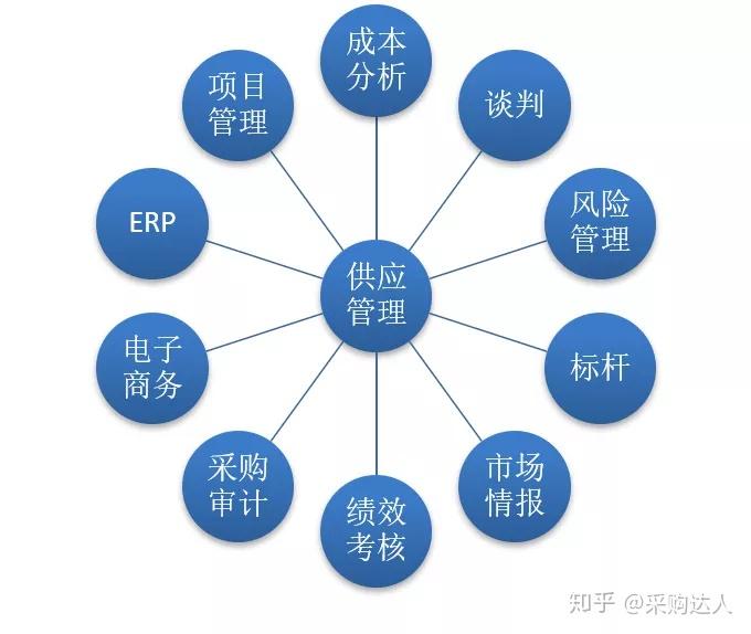 《双个教育》多元化解读：全面培养能力与满足不同需求的教育模式探索。