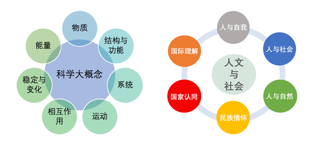 教育综合公共知识：构建知识体系的基石，理解世界融入社会的基础