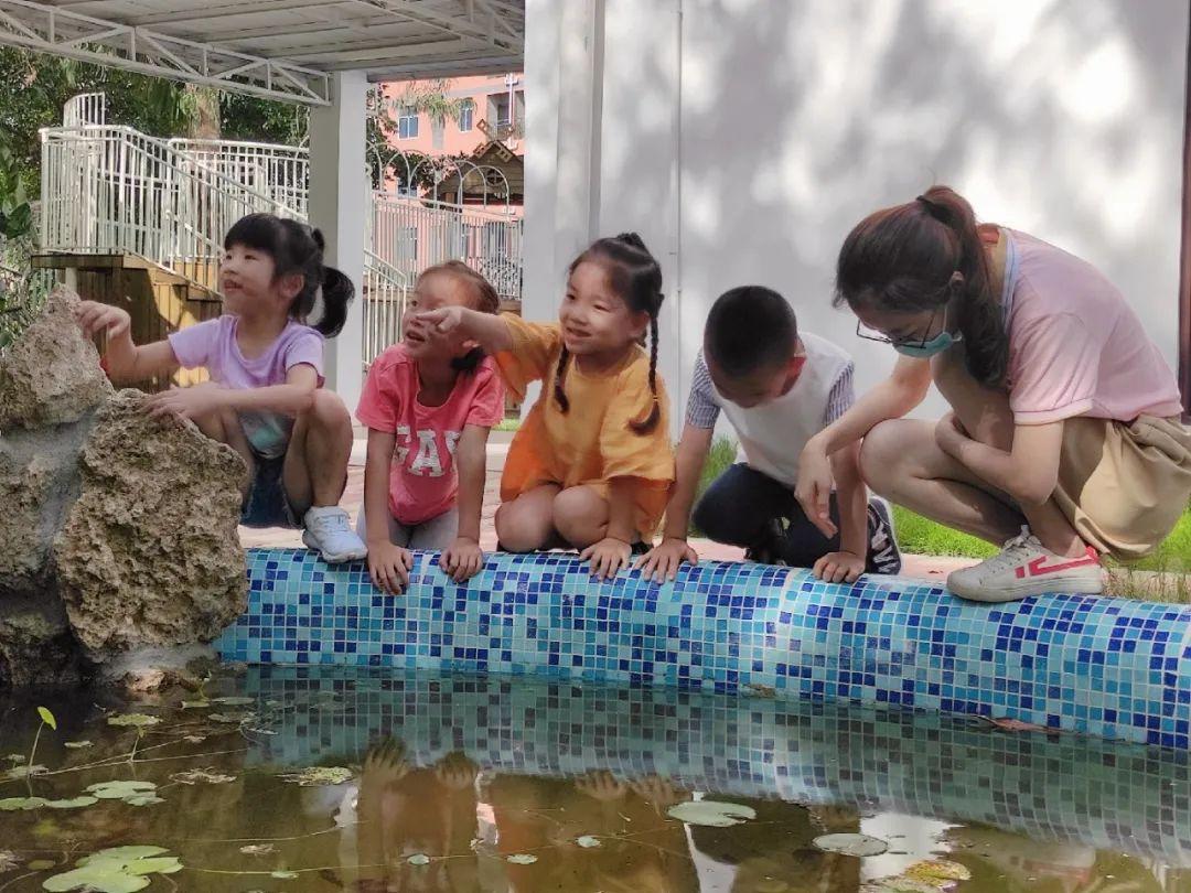 幼儿教育课程丰富多样，涵盖基础学科、生活技能、特色及个性化课程