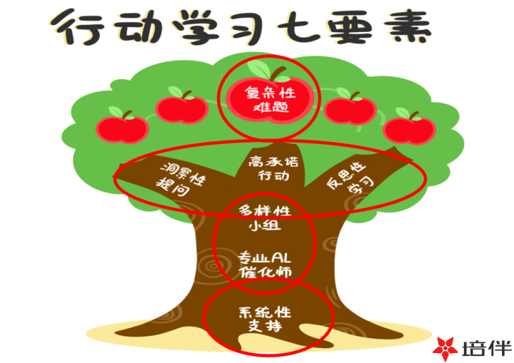 2025年1月17日 第24页