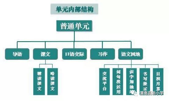 义务教育教材版本解析：多元化选择与特色内容探讨