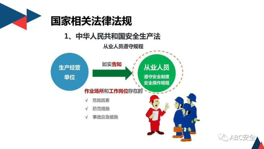 学科素质教育的全面解读：理念、特点与实际应用