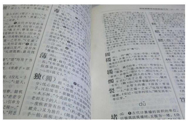 写字教育的名字：多样性与内涵的探讨