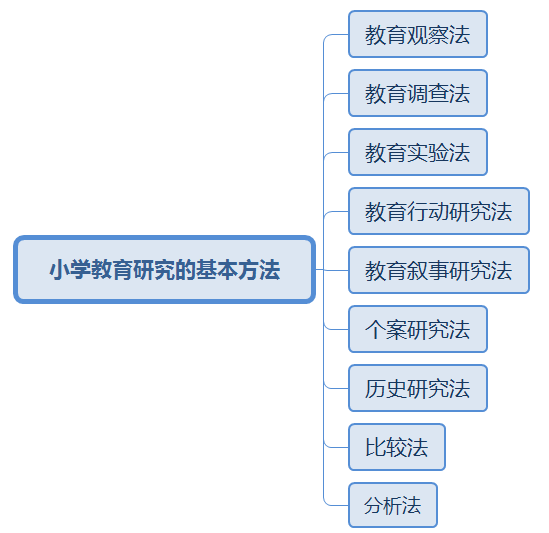 电大函授小学教育考试内容解析：从基础知识到教育政策与法规的全方位考察