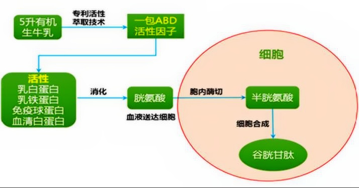 教育产品孵化的定义及其重要性解析